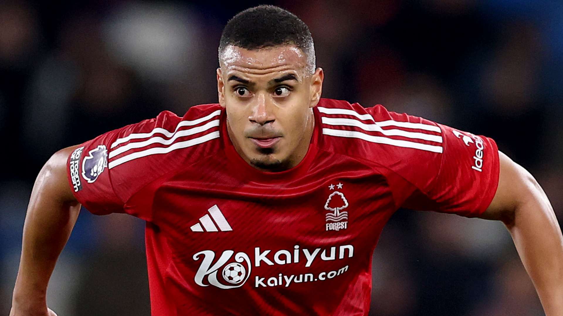 但并未轻易 但并未轻易