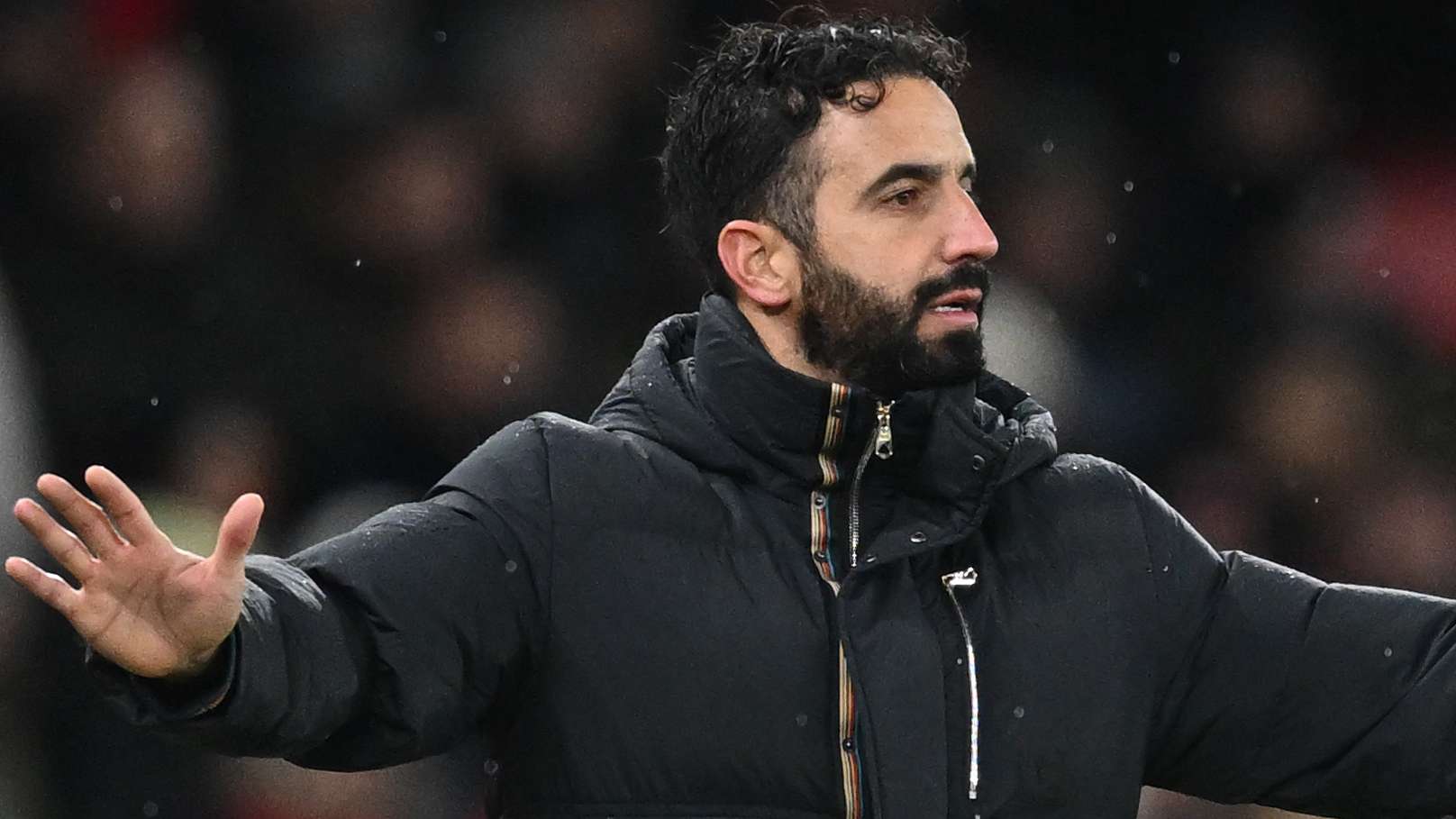 其他年轻球 其他年轻球