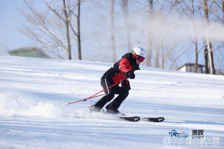 魏维解析大众单板滑雪四级技术重点